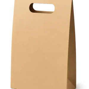 Die-Cut Handle Paper Bag (213)
