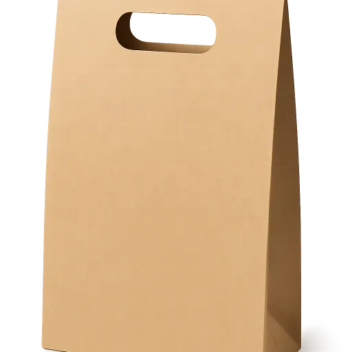 Die-Cut Handle Paper Bag-512x512