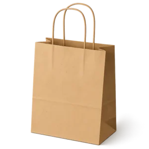 Kraft Paper Shopping Bag with Twisted Handles (214)