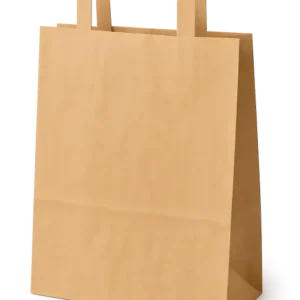 Recycled Paper Bag with Flat Handles (218)