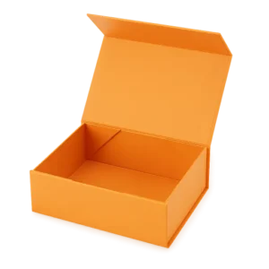 Foldable Collapsible Gift Box (466)